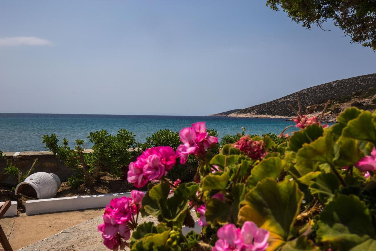 Pension Ageliki Sifnos Platis Gialos  Екстериор снимка